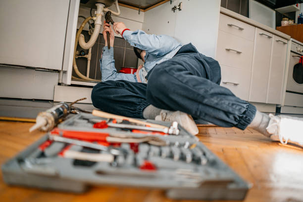 Best Plumbing Services Near Me  in Peotone, IL