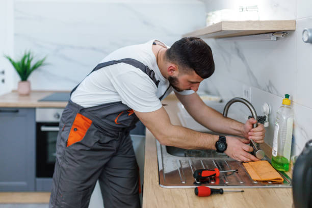  Peotone, IL Plumbing Pros