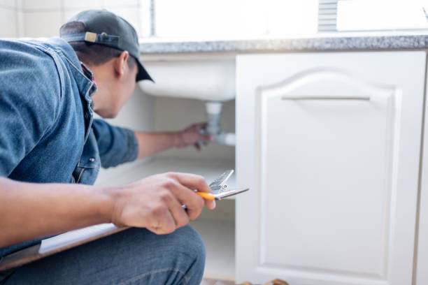 Best Residential Plumbing Services  in Peotone, IL