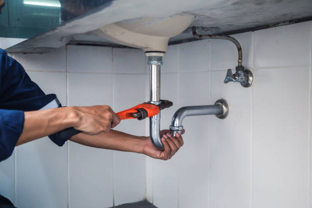 Best Same-Day Plumbing Service  in Peotone, IL