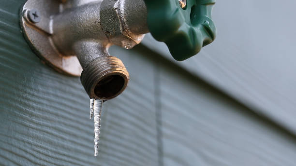 Best Drain Cleaning Services  in Peotone, IL